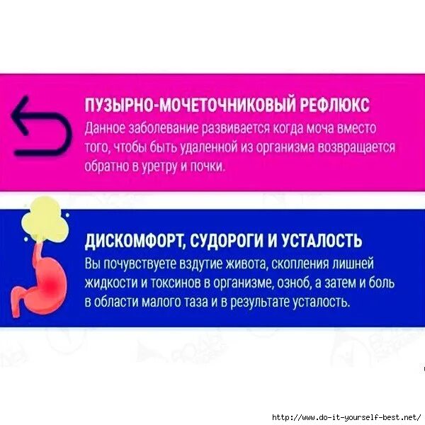 Почему часто хочется в туалет по большому. Долго терпит в туалет. Почему нельзя терпеть. Почему нельзя терпеть в туалет по маленькому. Долго терпела в туалет по маленькому.