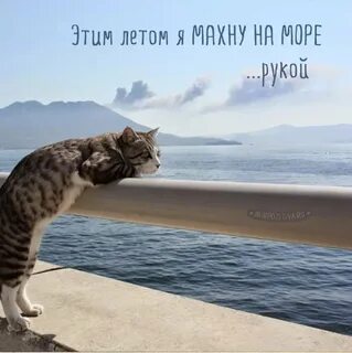 Это лето не то