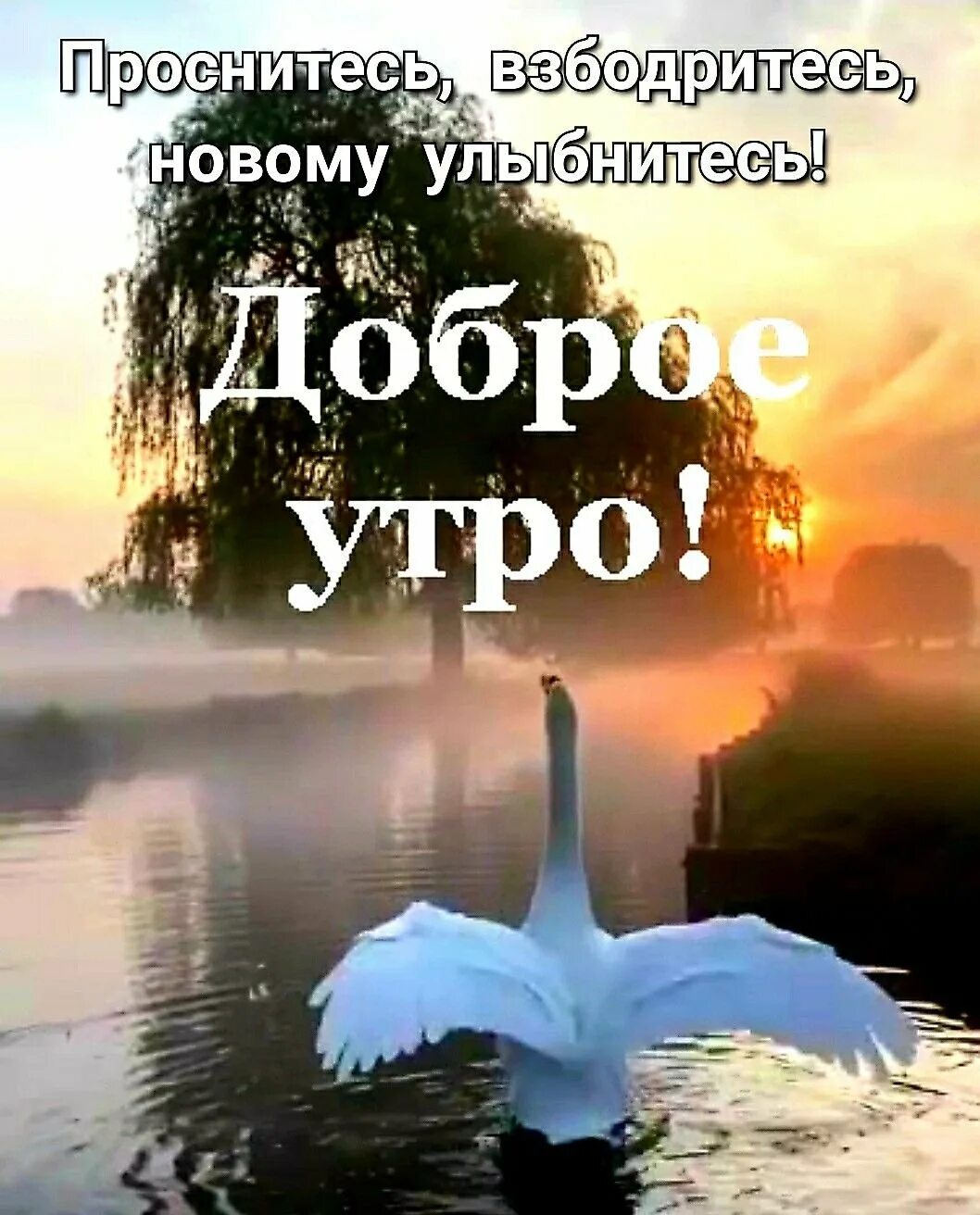 Доброе утро храни тебя господь. Доброе утро с Богом. С добрым утром с Богом. Открытки с добрым утром церковные. С добрым утром православные.