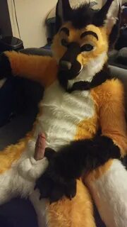 Slideshow fursuit solo big huge dick.