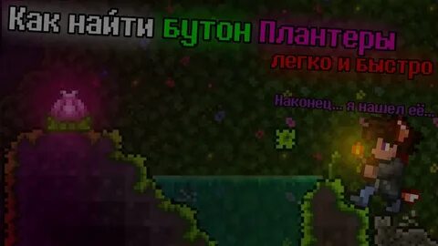 Как найти плантеру