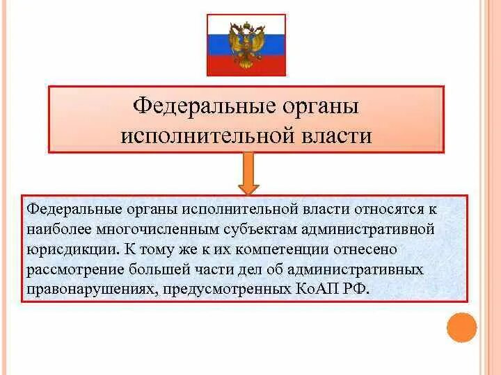 Административные функции федеральной службы. Федеральные органы исполнительной власти. Уполномоченные федеральные органы исполнительной власти это. Уполномоченный федеральный орган исполнительной власти. Фед органы исполнительной власти.