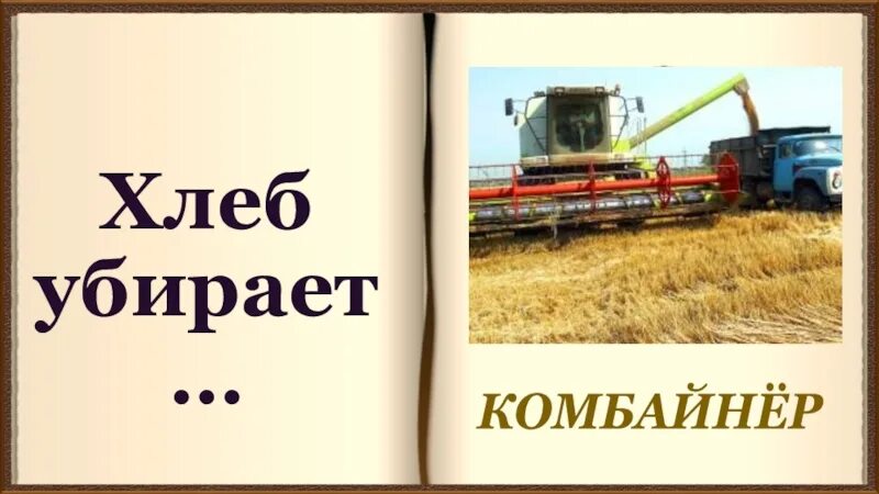 Комбайнер убирает хлеб. Хлеб убирают. Комбайнер убирает хлеб картинки. Как убирают хлеб иллюстрации.