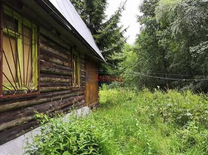 Плодовое приозерский ленинградская область