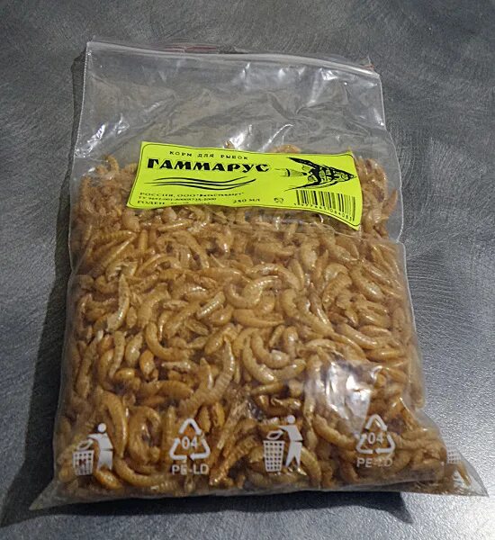Можно ли кормить гаммарусом