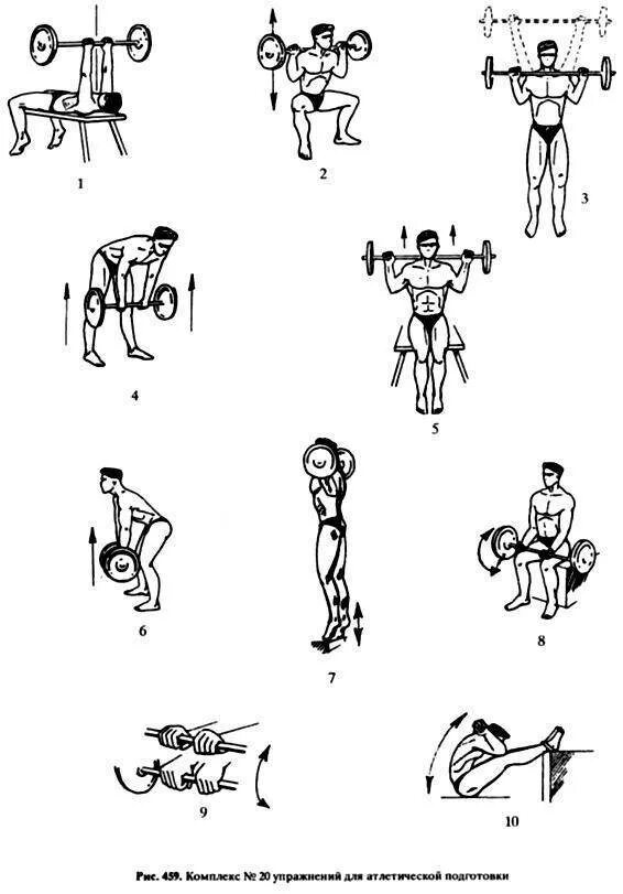Тренировки с гантелями и штангой дома. Атлетическая гимнастика комплекс силовых упражнений. Атлетическая гимнастика комплекс упражнений для начинающих. Комплекс упражнений атлетической гимнастики мышцы. Комплекс упражнений со штангой в домашних условиях.
