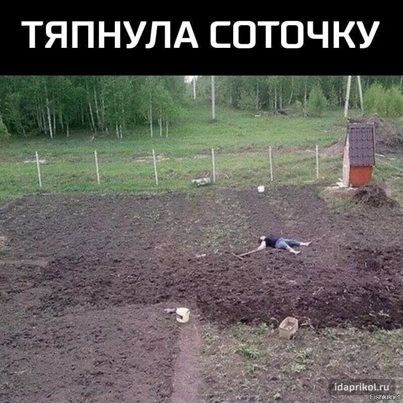 Дача человек нет. Ах дача дачечка с навозом тачечка. тяпнула соточку. я пойду дачу. тяпнул соточку фото.