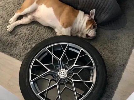Hre ff10