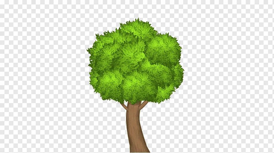 2 trees