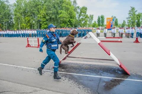 Сц ногинск