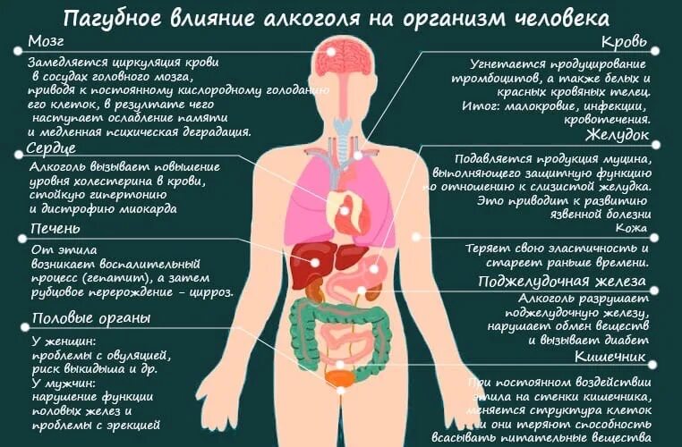 Отравление организма человека. Процесс отравления организма. Сильная интоксикация организма. Отравленный организм алкоголем. При отравлении болит желудок