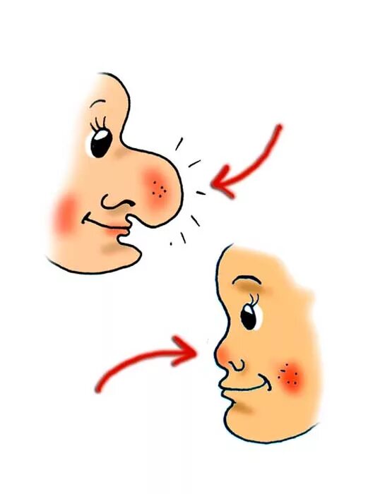 Рот и нос открывают. Части тела нос. Большой и маленький нос. Нос большой нарисованный.