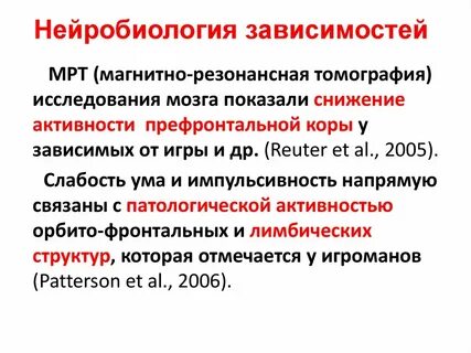 Нейробиология это