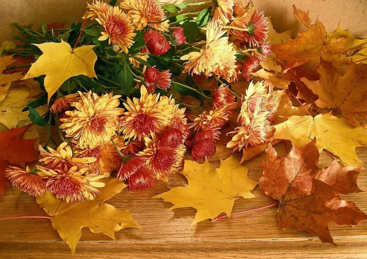 2 сентября осень. Осенний букет. Красивые осенние букеты цветов. Осенние листья букет. Цветы осенью.