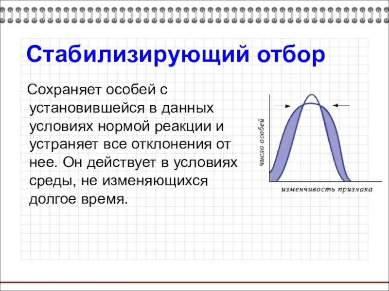 Стабилизирующий отбор норма реакции. Стабилизирующий отбор презентация. Стабилизирующий естественный отбор. Стабилизирующий отбор схема. Стабилизирующая форма отбора результат