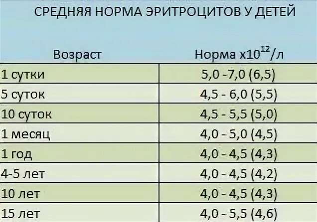 Норма эритроцитов у мальчиков. Эритроциты норма у детей 5 лет. эритроциты норма у детей по возрасту. эритроциты у ребенка 4 года норма. эритроциты норма у детей по возрасту таблица в крови.