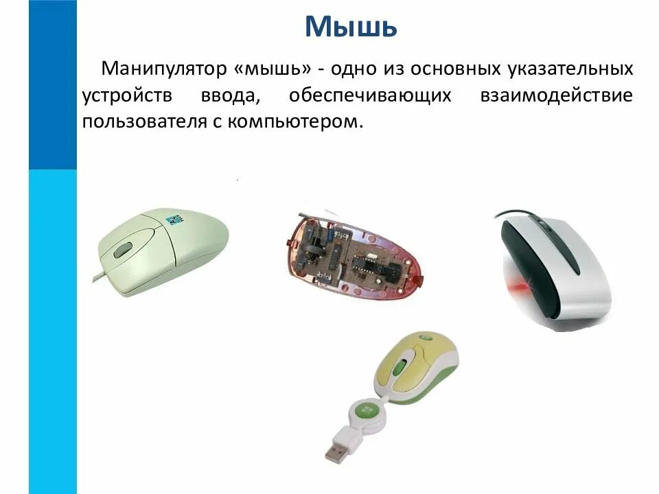Мышь это устройство вывода. Манипулятор мышь. устройство мыши. мышь это в информатике. устройства ввода мышь.