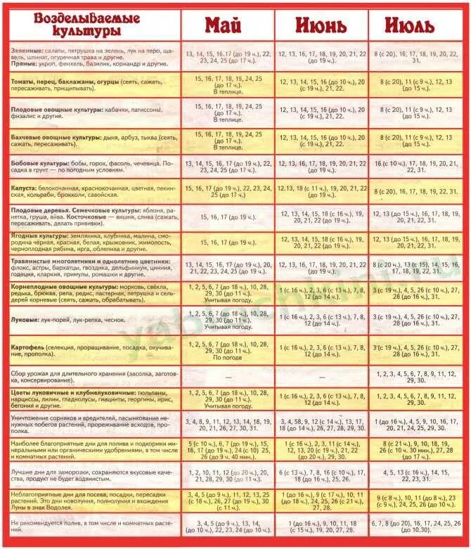 Календарь посева 2024 году сроки. Лунный календарь садовода на 2021 год. Лунный посевной календарь огородника на 2021 год. Лунный календарь на 2021 год садовода и огородника. Лунный посевной календарь на 2021 год таблица.