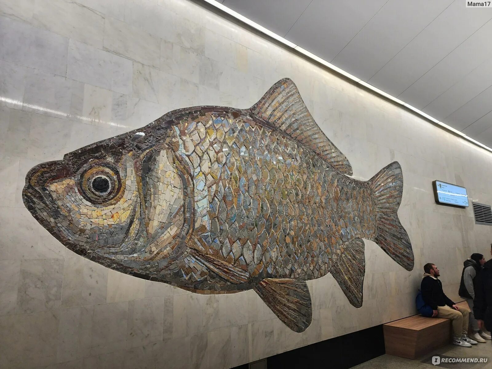 Кто кроме рыб плавает на станции бкл. Станция метро с рыбками. Станция метро с рыбами в Москве. Нагатинский Затон БКЛ рыбы. БКЛ рыбы.