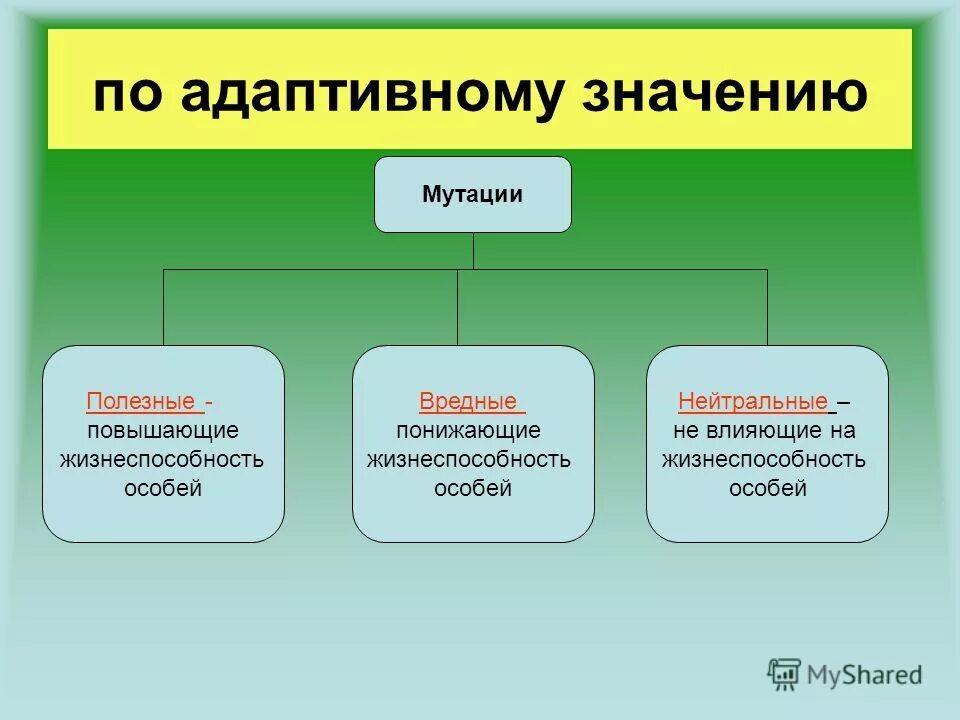 Имеет адаптивное значение