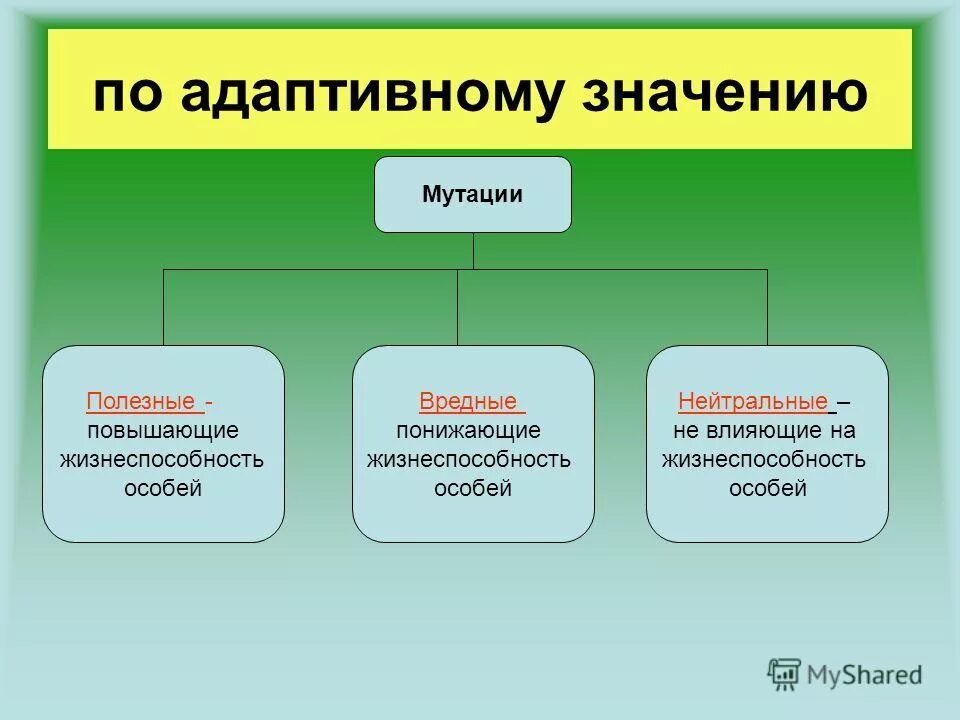 Мутации по адаптивному значению. Классификация мутаций по адаптивному значению. Виды мутаций нейтральные. Виды мутаций по значению. Какие мутации полезные