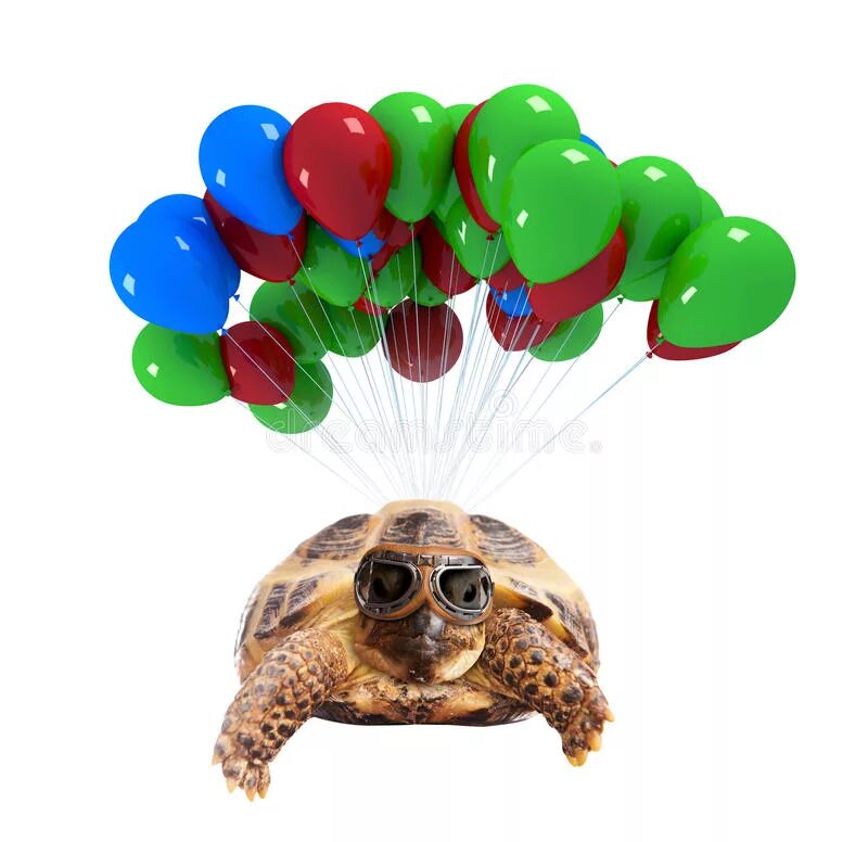 Воздушная черепаха. Черепашка на воздушном шаре. Черепашка с шариком. Черепаха с воздушным шариком. Морские черепахи с воздушными шарами.
