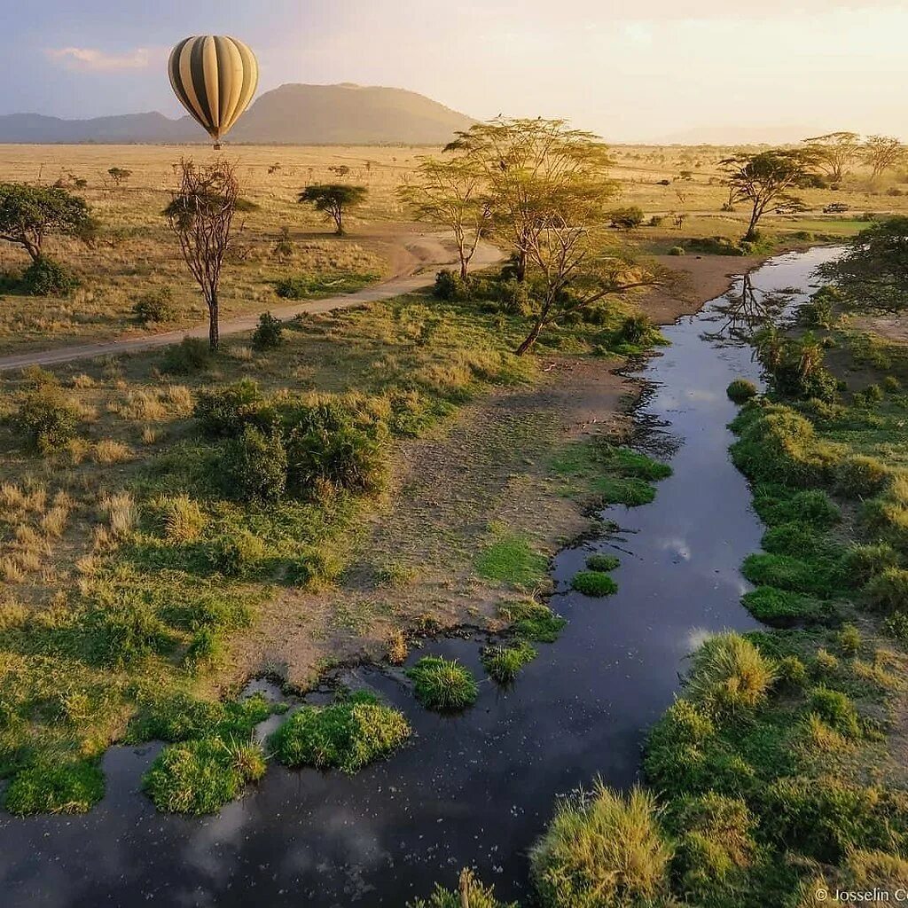 See africa. Серенгети Танзания. Национальный парк Серенгети. Саванна Серенгети Танзания. Национальный парк в Танзании.