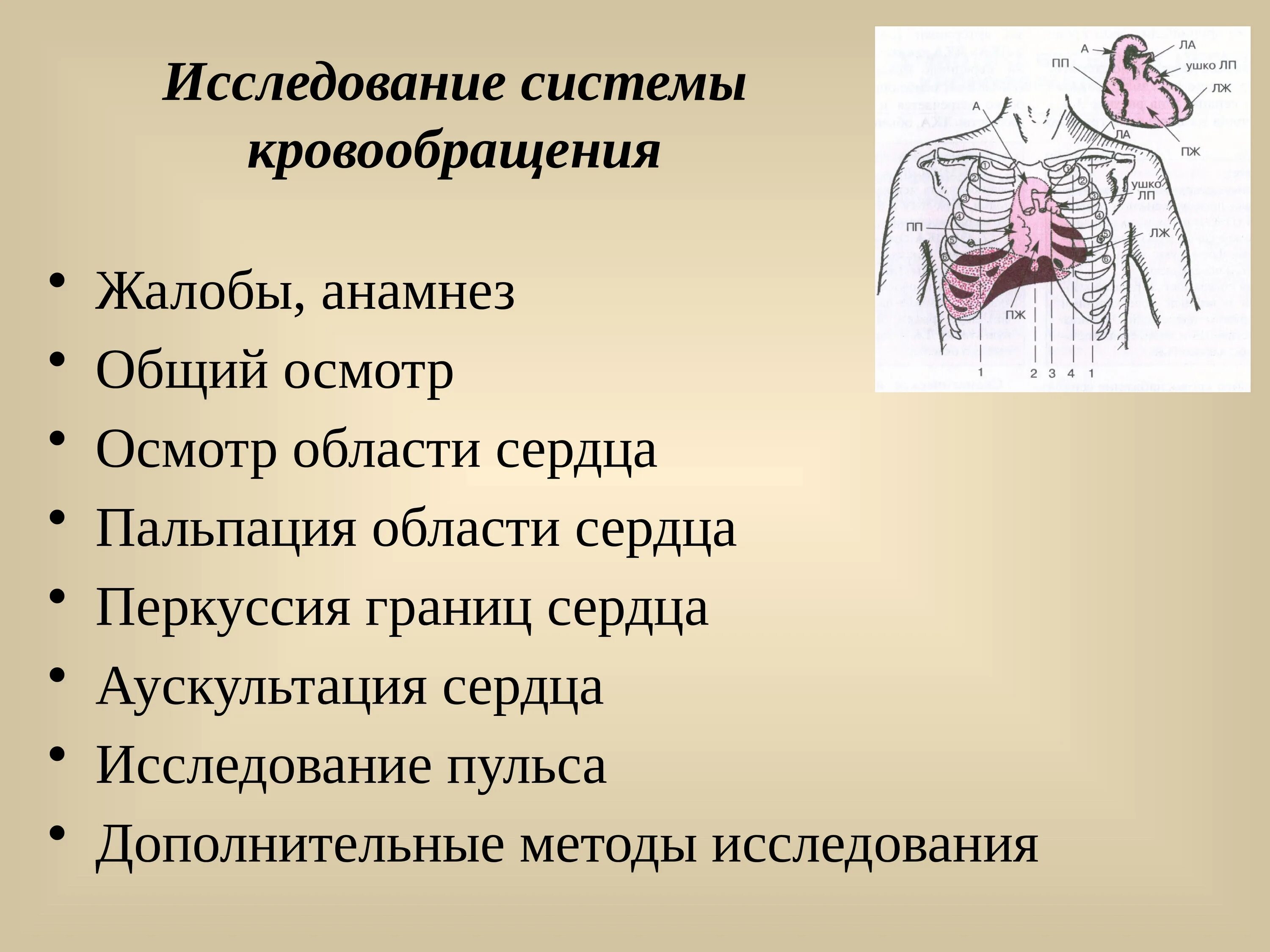 Аускультация история болезни. Методика исследования система кровообращений. Исследования системы кровообращения. Методы изучения кровообращения. Методы обследования органов кровообращения.