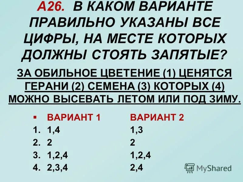 за обильное цветение 1 ценятся герани. пеларгония марджината салмон. за обильное цветение 1 ценятся герани. пеларгония ярка f1. пеларгония комнатное растение.