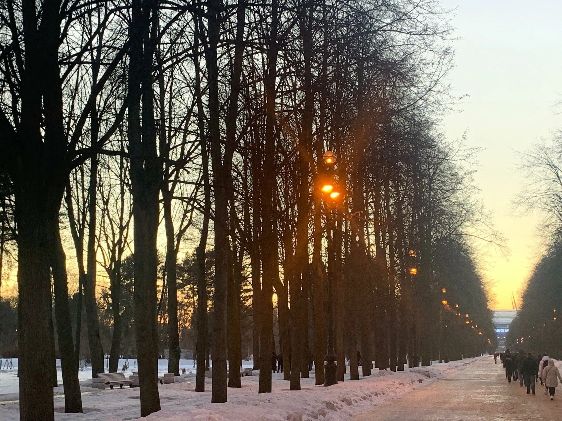 Велосипедист на крестовском проспекте. Каток на Крестовском острове. Парк на Крестовский проспект Санкт-Петербург. Санкт-Петербург Крестовский проспект 23 Приморский парк Победы.