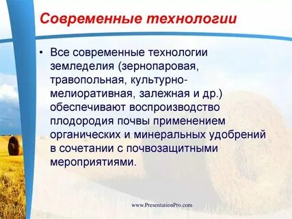 В чем особенности современного животноводства