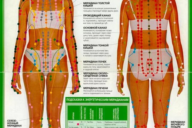 Каналы китайской медицины. Энергетические меридианы человека китайская медицина. Схема 12 меридианов акупунктуры. Меридианы на теле человека схема китайская медицина. Энергетические каналы человека (меридианы).