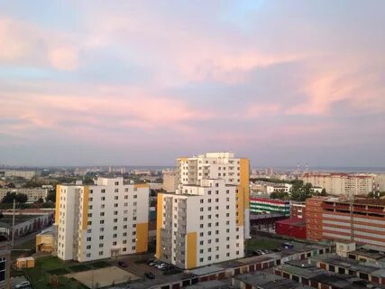 Оазис казань