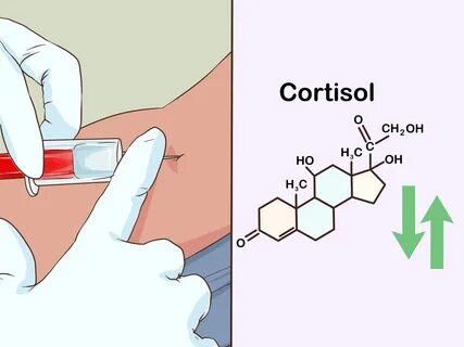 Cortisol
