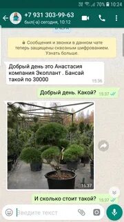 Экоплант питомник растений спб адрес