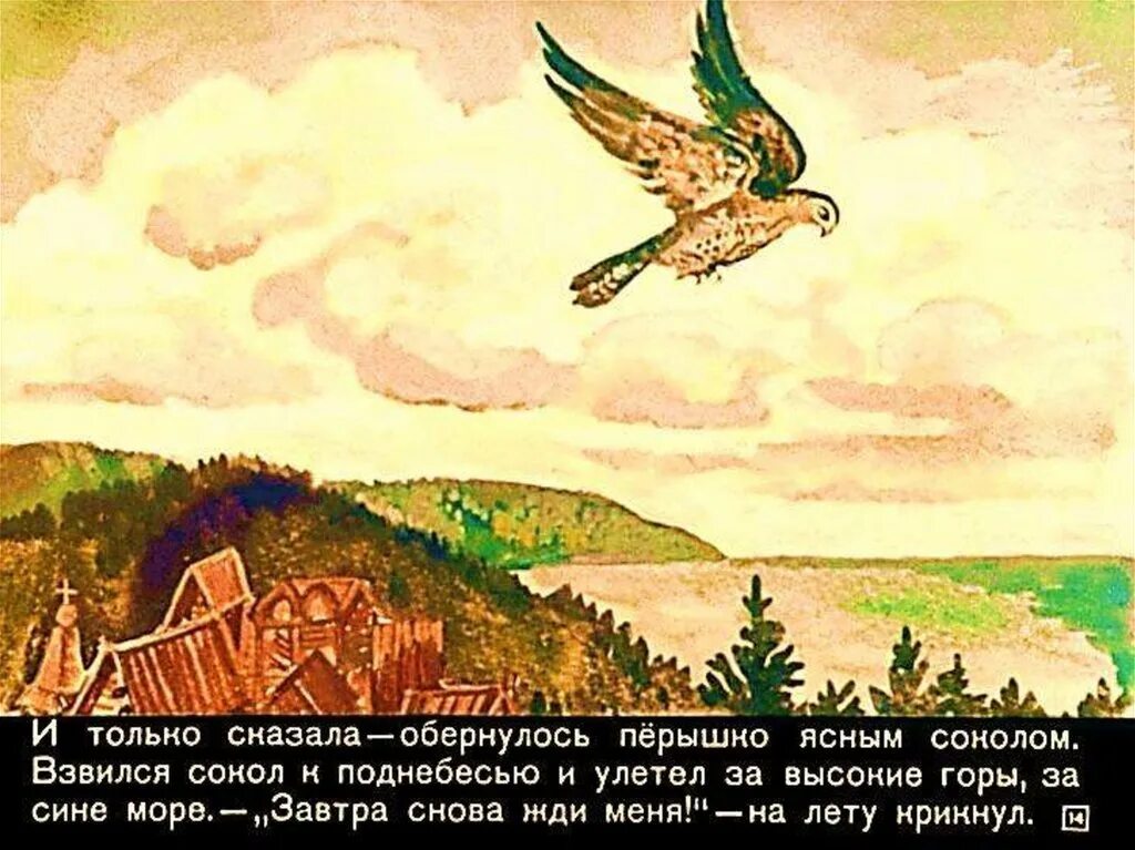 Иллюстрация к сказке перышко финиста ясна сокола. «финист — ясный сокол» народная сказка. Финист ясный сокол иллюстрации к сказке. Финист ясный сокол обложка книги. Перышко финиста ясно сокола.