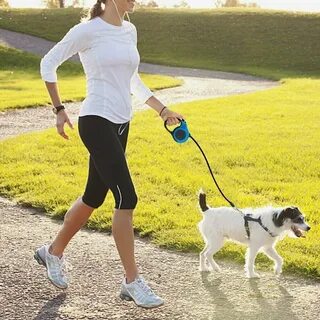 Walking pet