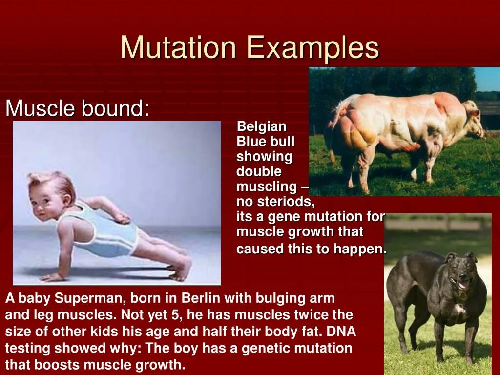 Mutation bss