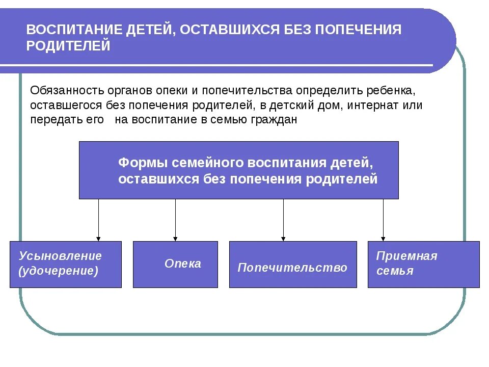 Отличие опеки от усыновления