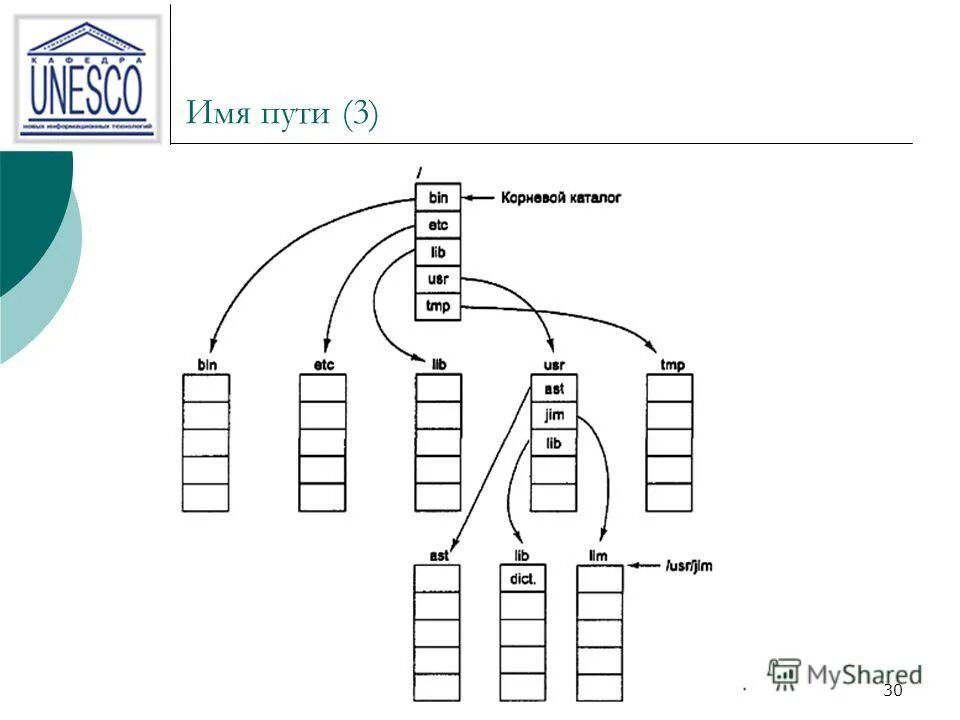 радиальный транспорт воды. папка с файлами.
