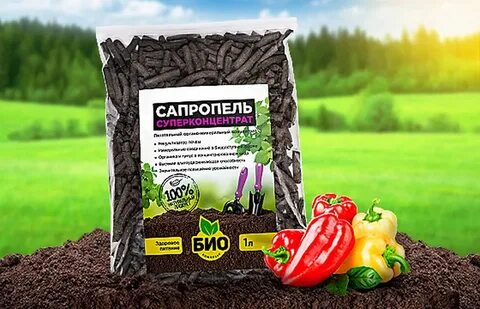 Сапропель удобрение применение для огорода