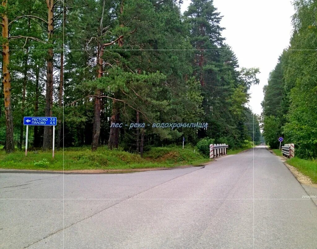 Учинский лесопарк. Ольгинский лесопарк балашиха. Лесопарк ольгино балашиха. Акулово запретка. Учинский парк.