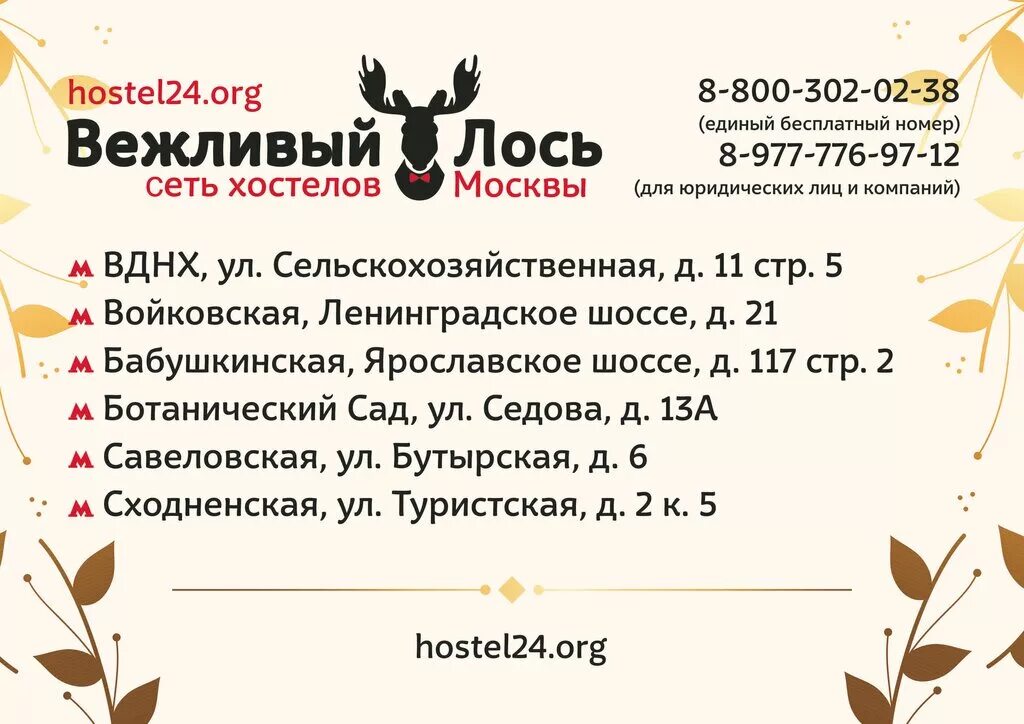 Вежливый лось добрый вечер. Лось добрый вечер. Вежливый лось. Этикетка вежливый лось. Вежливый лось добрый вечер.