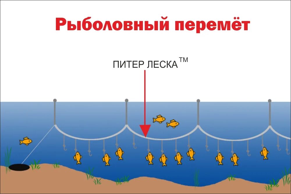 Схема установки перемёта - YouTube