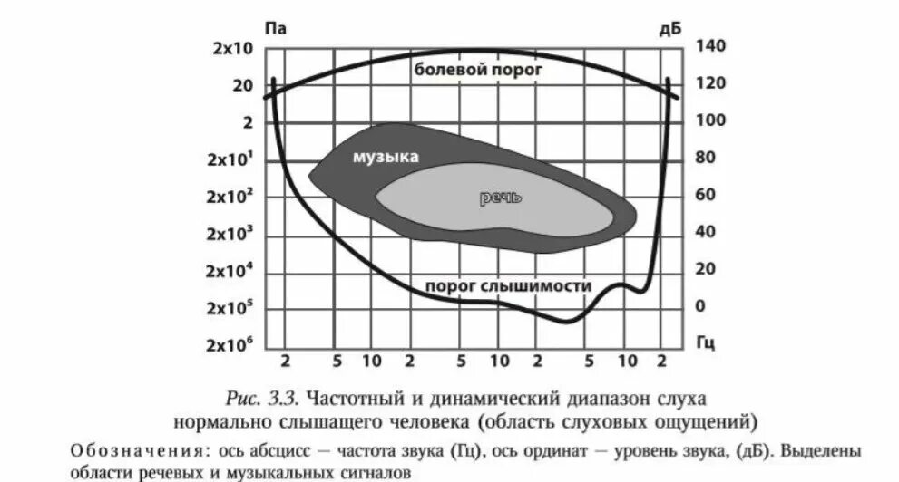 Порог слышимости человеческого уха Герц. Динамический диапазон слуха человека. Слух человека диапазон частот. Как определяется динамический диапазон слуха человека. В каком звуковом диапазоне слышит человек