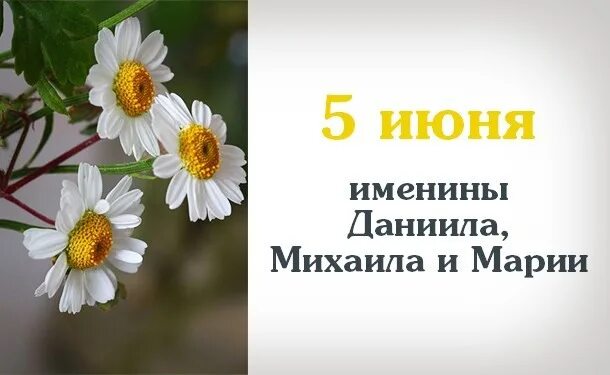 Имени 2 июня. 5 Июня день ангела. Именины 4 июня. 5 Июня праздник. Открытки 5 июня.