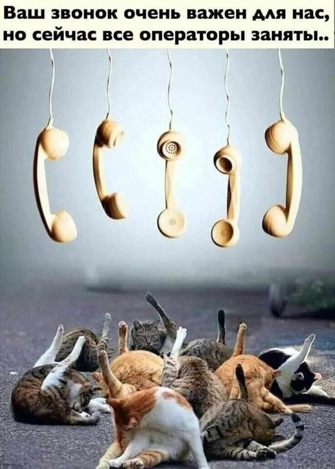 О нас но не про нас. О нас но не про нас. Думаю о нас. О нас картинка. О нас но не про нас.