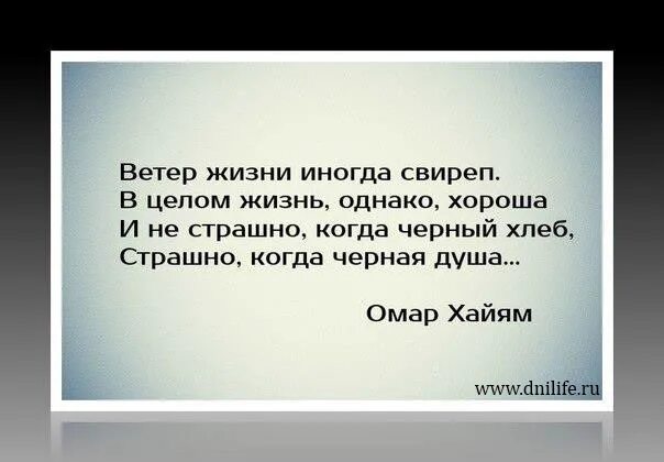 Омар хайям ветер жизни иногда свиреп. Жизнь однако хороша. Цитаты про ветер и любовь. Свирепа жизнь. Стихи притчи мудрые высказывания.