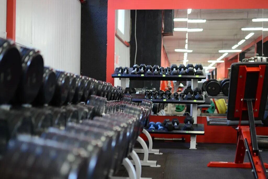 Flex gym щелково. Флекс джим тольятти революционная 7. Джим тольятти. Flex gym тольятти революционная. Flex gym тольятти победы 44.