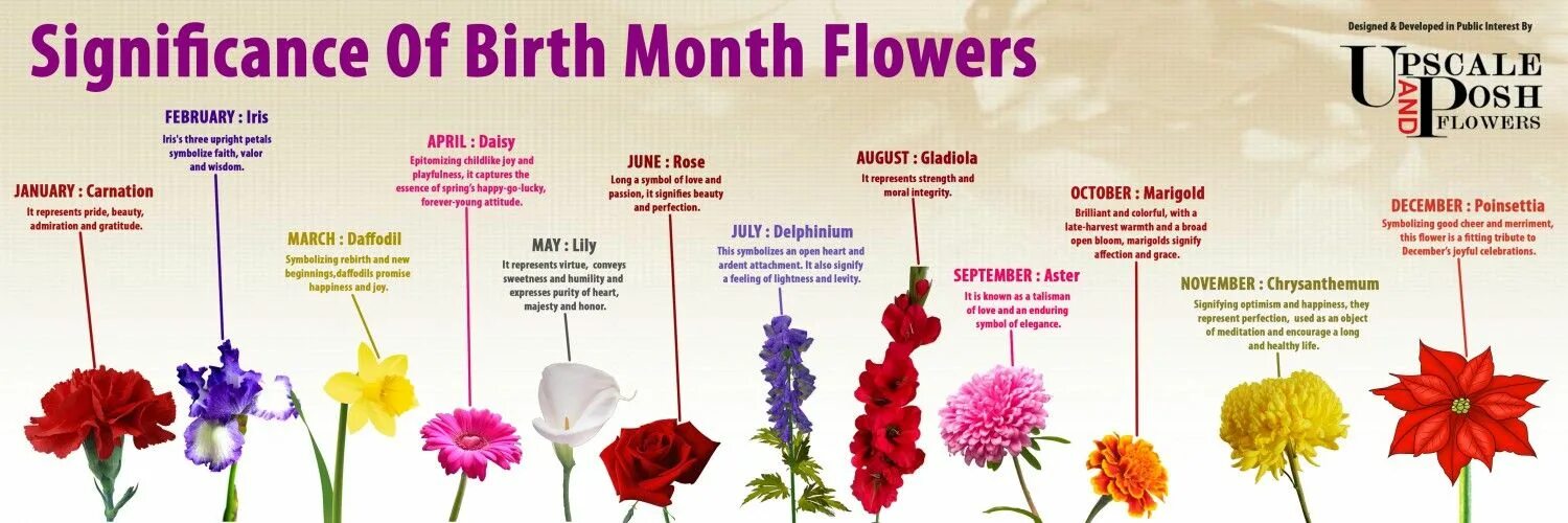 Flowers by month of Birth. Цветок Happiness flowering. Язык цветов. Цветы и их значение.